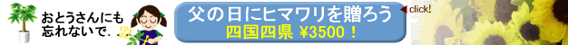 ���̓��̑��蕨