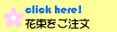 �ԑ���������